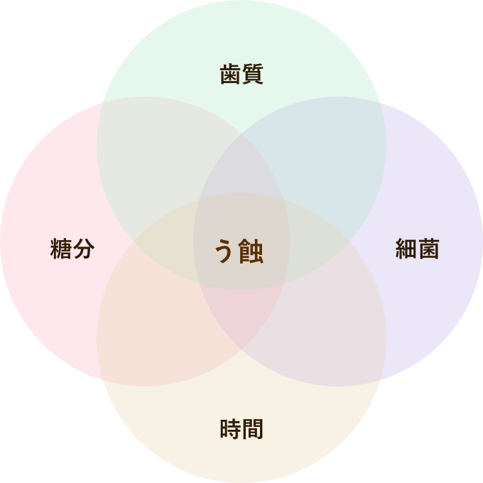虫歯対策